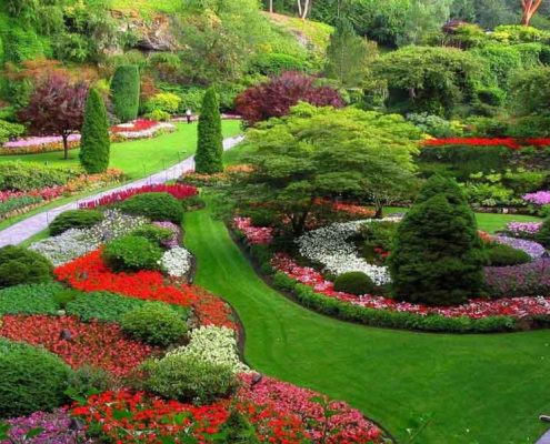 landscaping