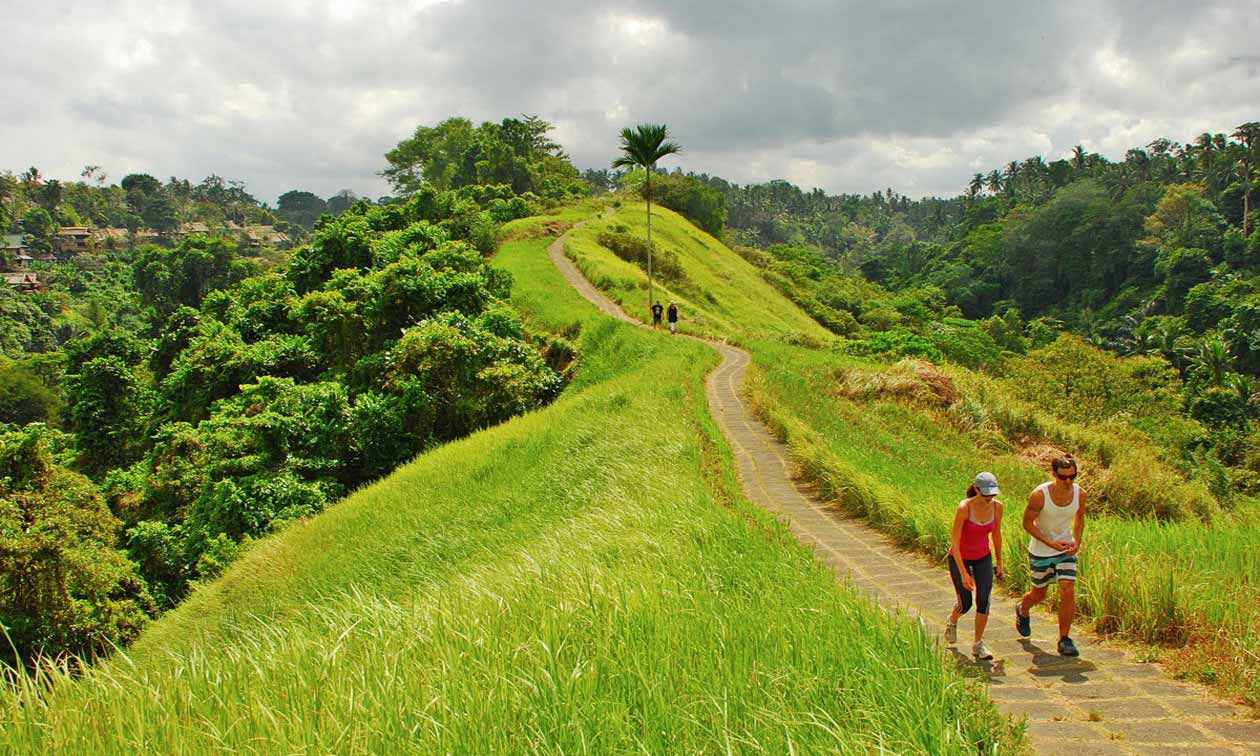 tourist-trail-in-bali