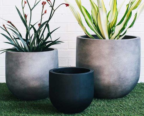 Designer Garden Pots