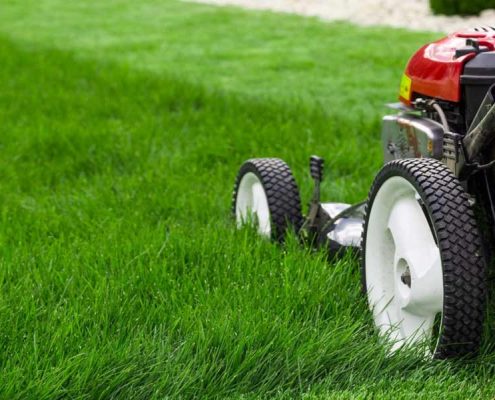 Landscaping Business