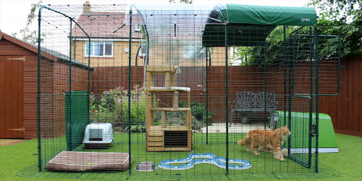 Choosing The Best Cat Enclosure For Your Cat